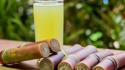 JELO's Sugarcane Juice - Pavia