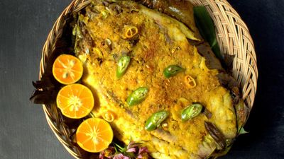 Fish2Go - Alfonso