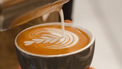 Spotted Pig Cafe - Esteban Street