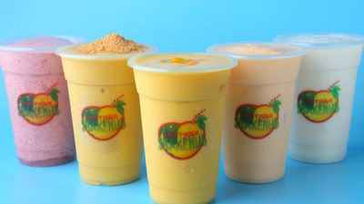 Fruitfussion- Shake Hub
