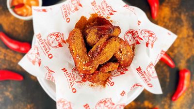 Master Buffalo - Tondo