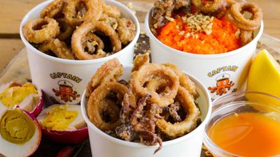 Captain Calamares - Riverbanks