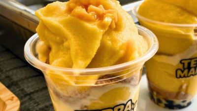 Terra Mango - Panabo