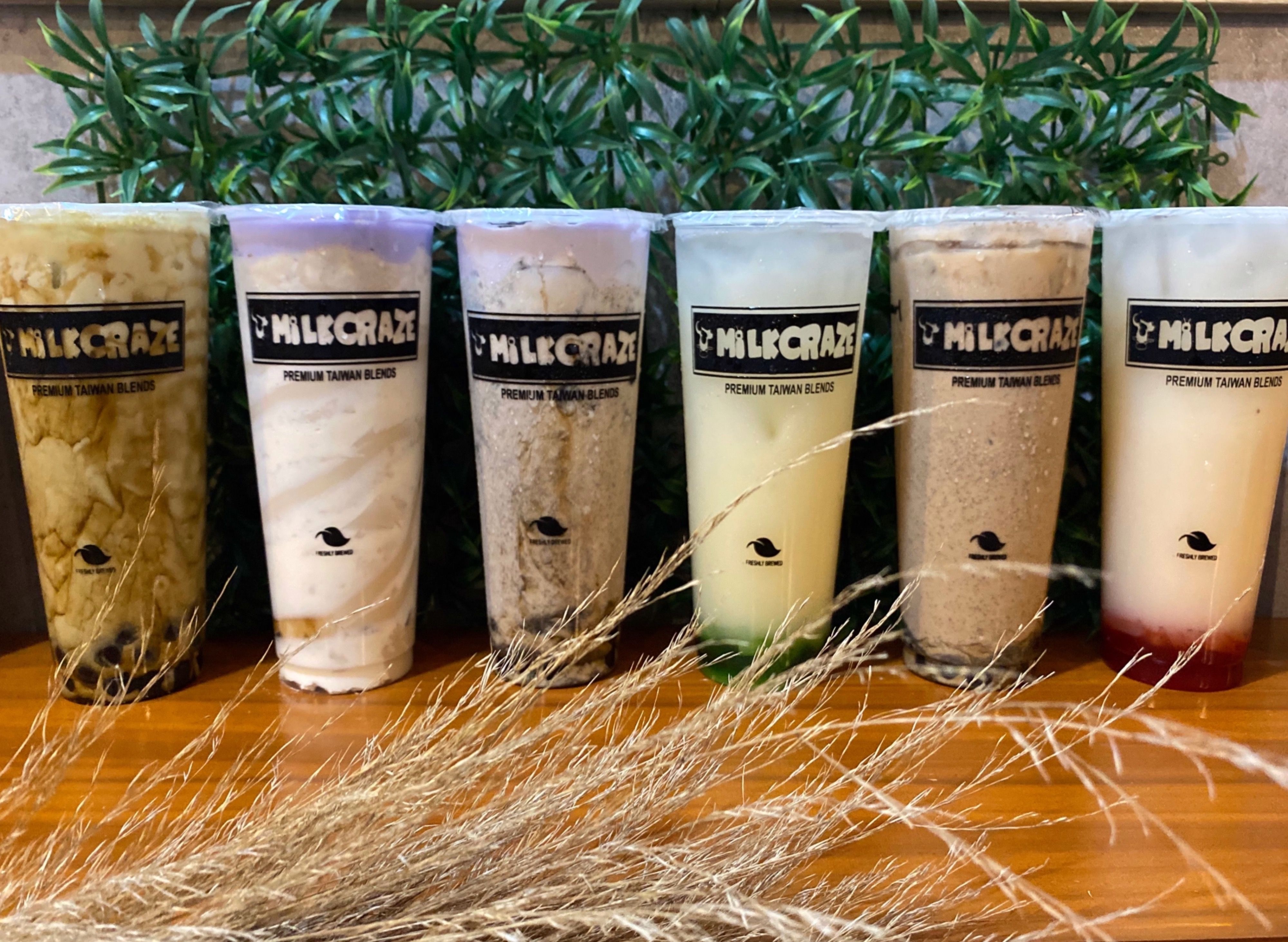 Milk Craze - Dagupan vendor logo