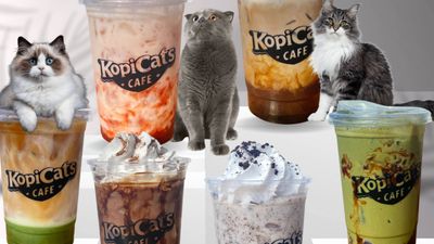 KopiCats Cafe - Bangkal