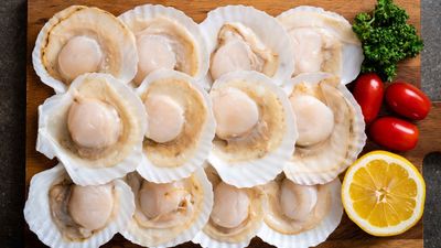 Scallops and Tahong For The Go! - Tondo