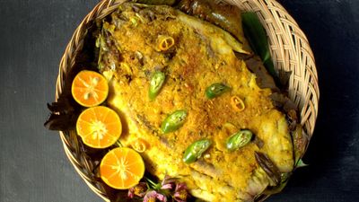 Fish2Go - MH Del Pilar