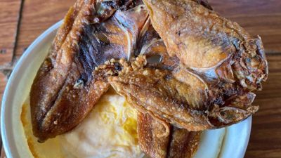 Cusina de Binoys