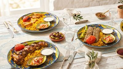 Okebab Koobideh - Project 8