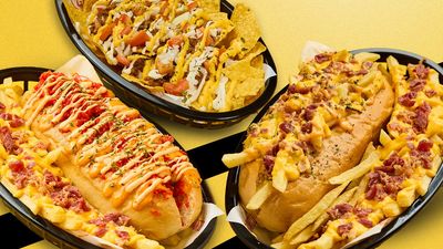 Hungry Dog - Sambag 1