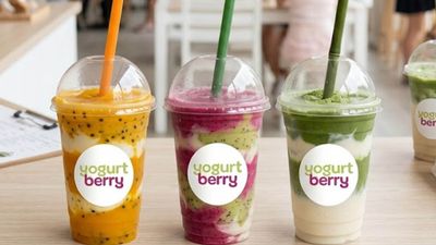 Yogurt Berry - Bacolor