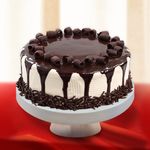 Tiramisu Meltdown Regular