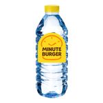 Mineral Water (500ml)
