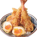 Tendon Rice  Bowl