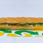 Veggie Delite Subs