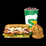 Subway Melt Regular Meal Subs