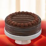 Chocolate Bliss Regular