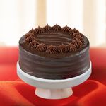 Chocolate Bliss Junior