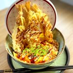 NEW Ebi Tendon
