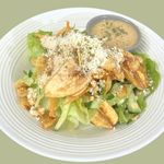 Mango Summer Salad
