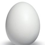 Fresh Egg