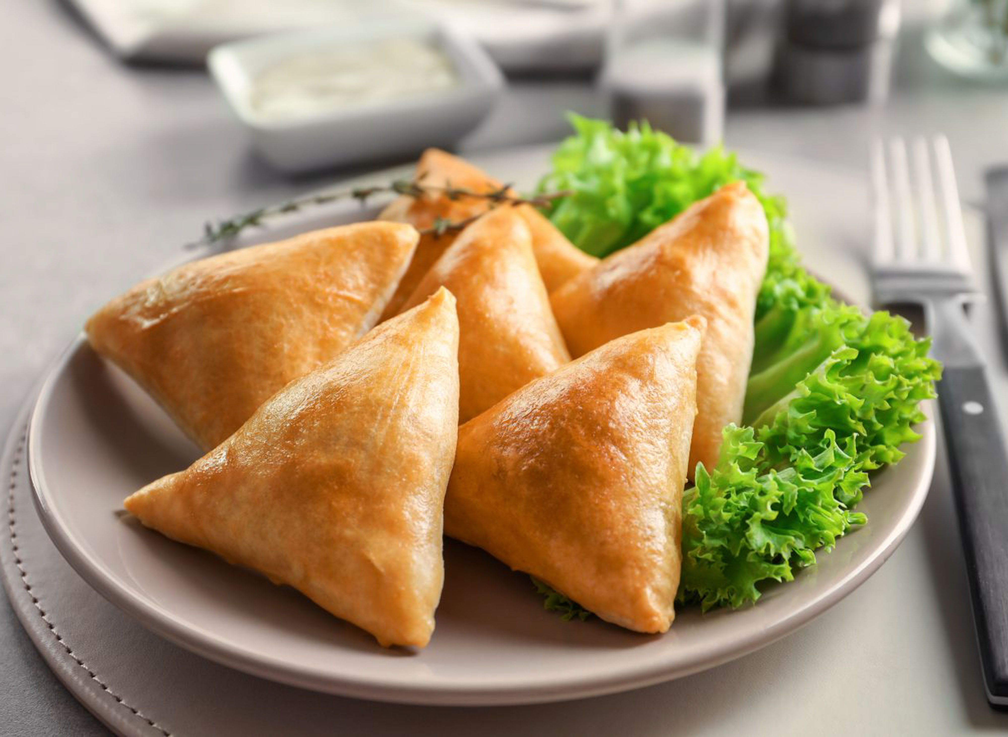 Shah G samosa shop vendor logo