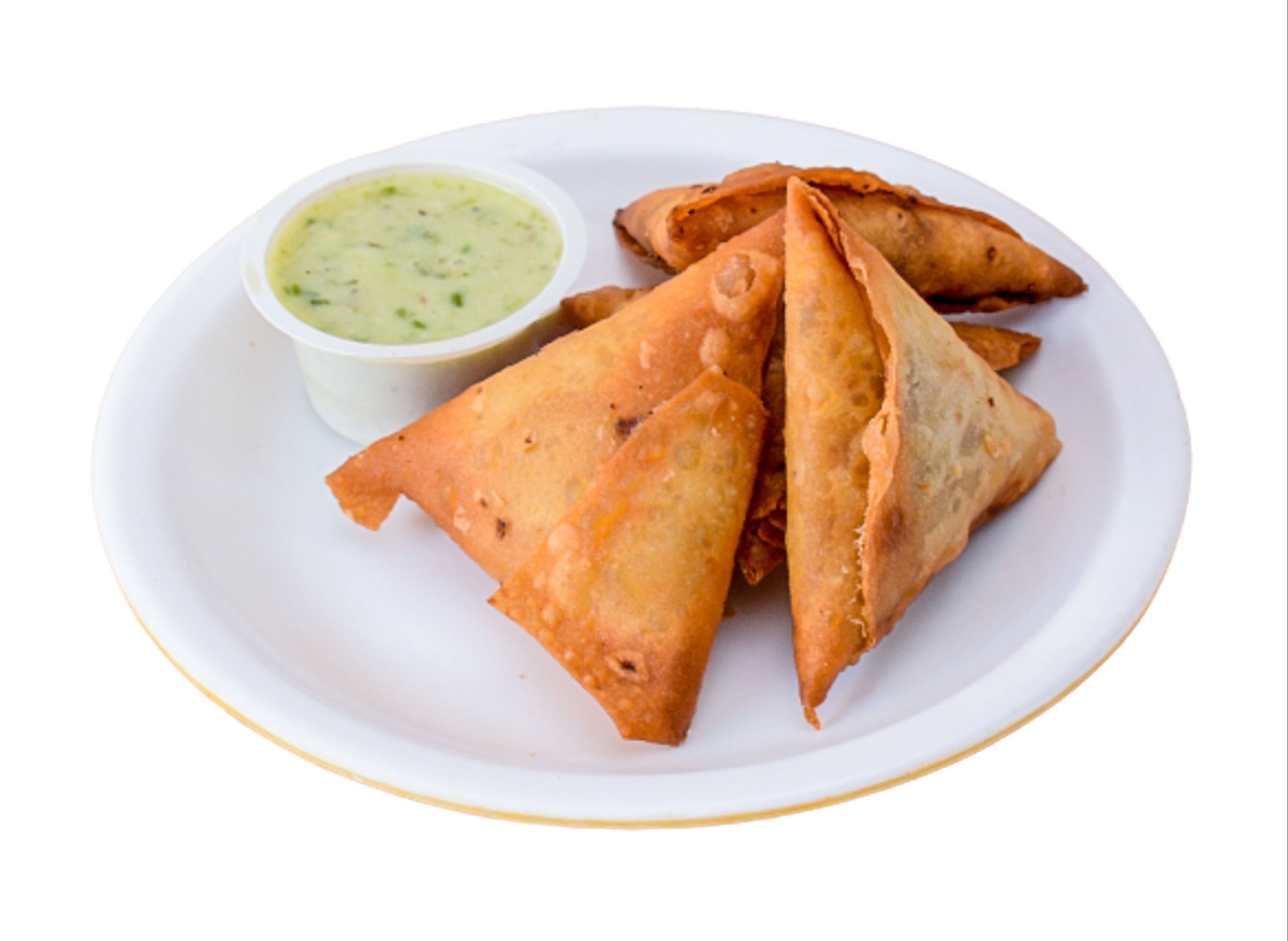 Fusion Savouries by Healthy Bites vendor logo