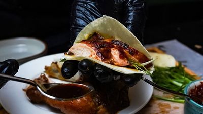 The Melting Swan