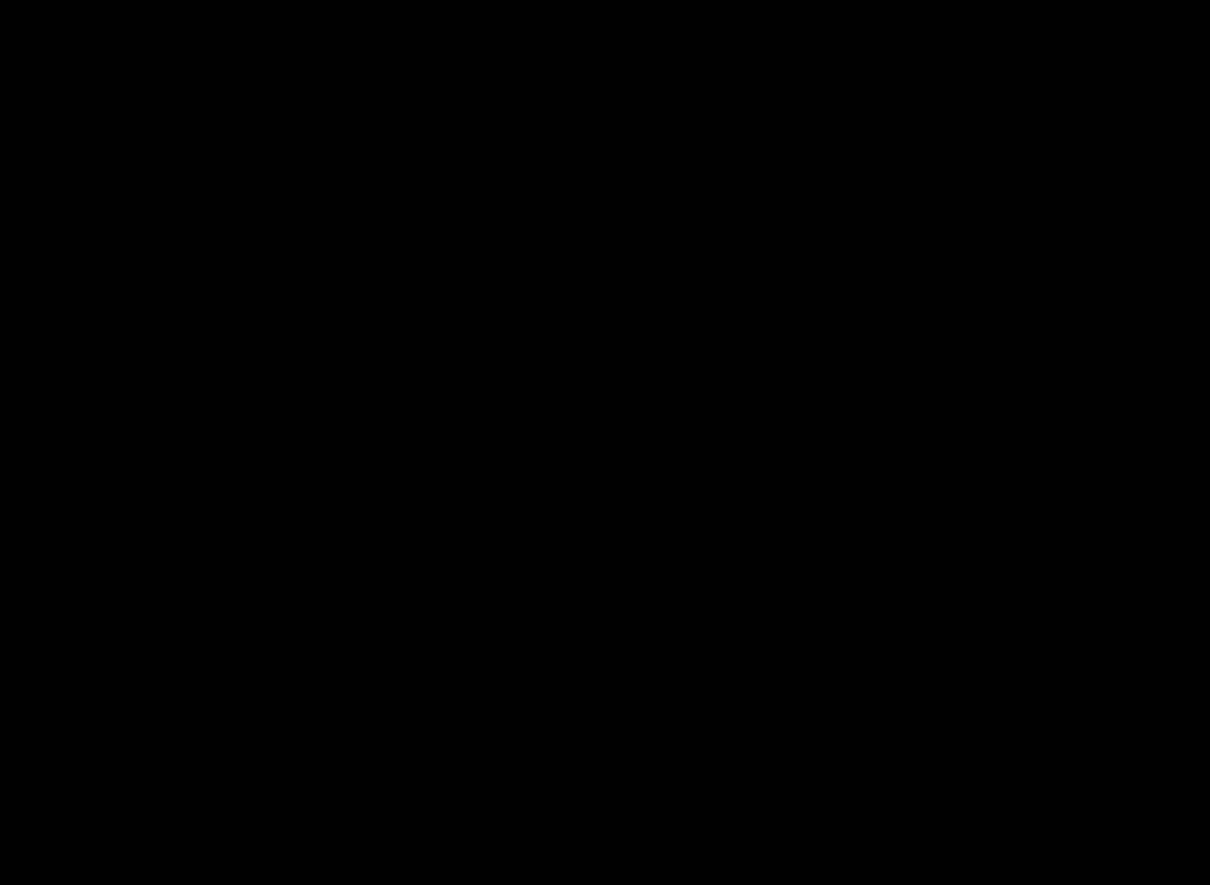 Mr Chinese Food vendor logo