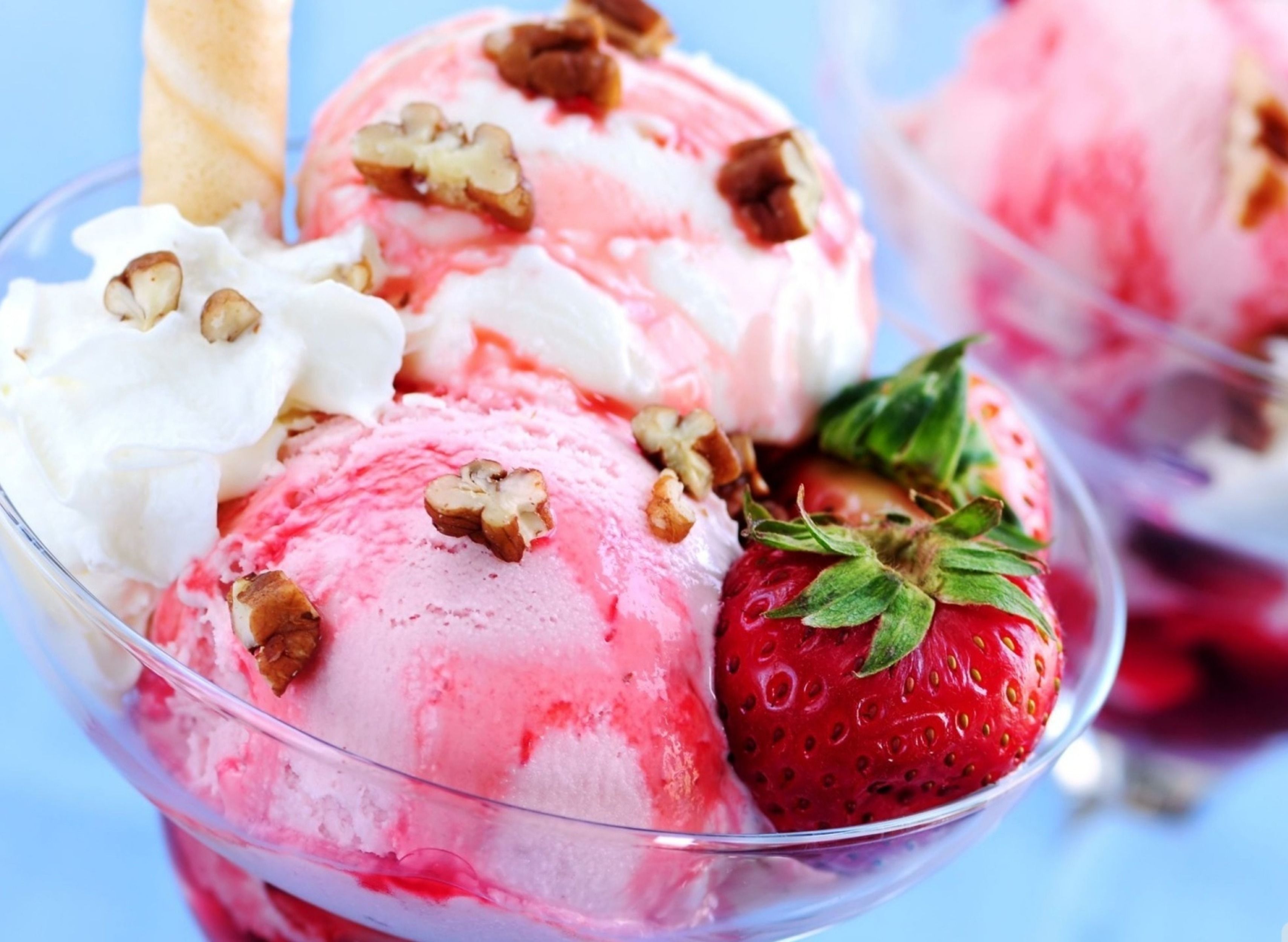 Holiday Icecream & Fast Food vendor logo