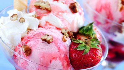 Holiday Icecream & Fast Food
