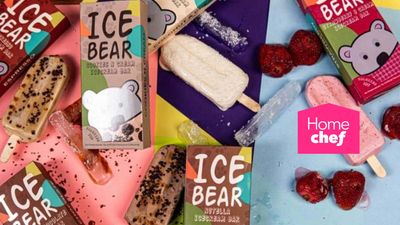 Ice Bear – DHA