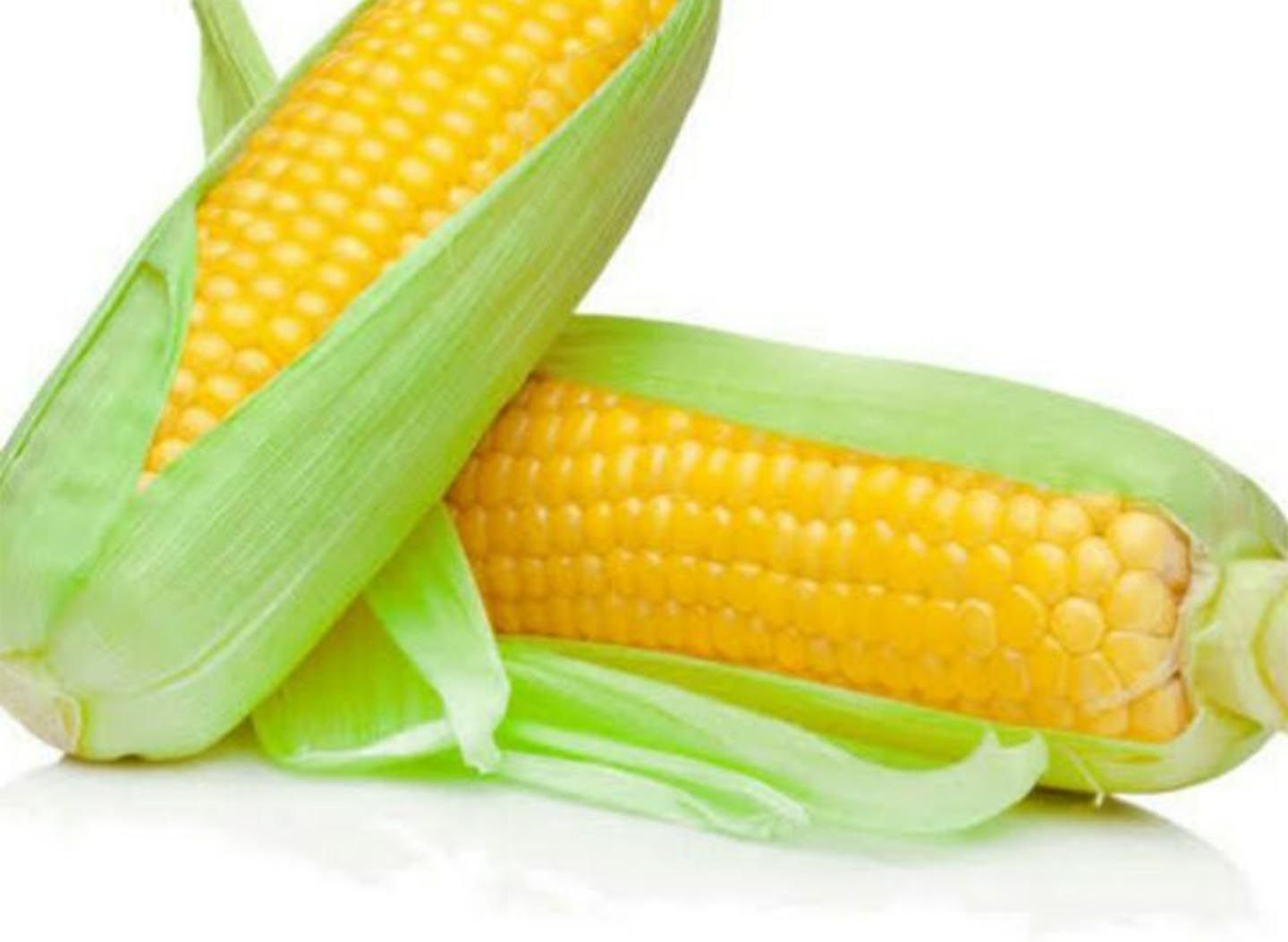 King Corn menu in Hyderabad | Food Delivery Hyderabad | foodpanda