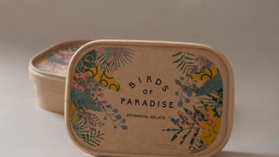 Birds of Paradise Gelato Boutique (Craig Road)