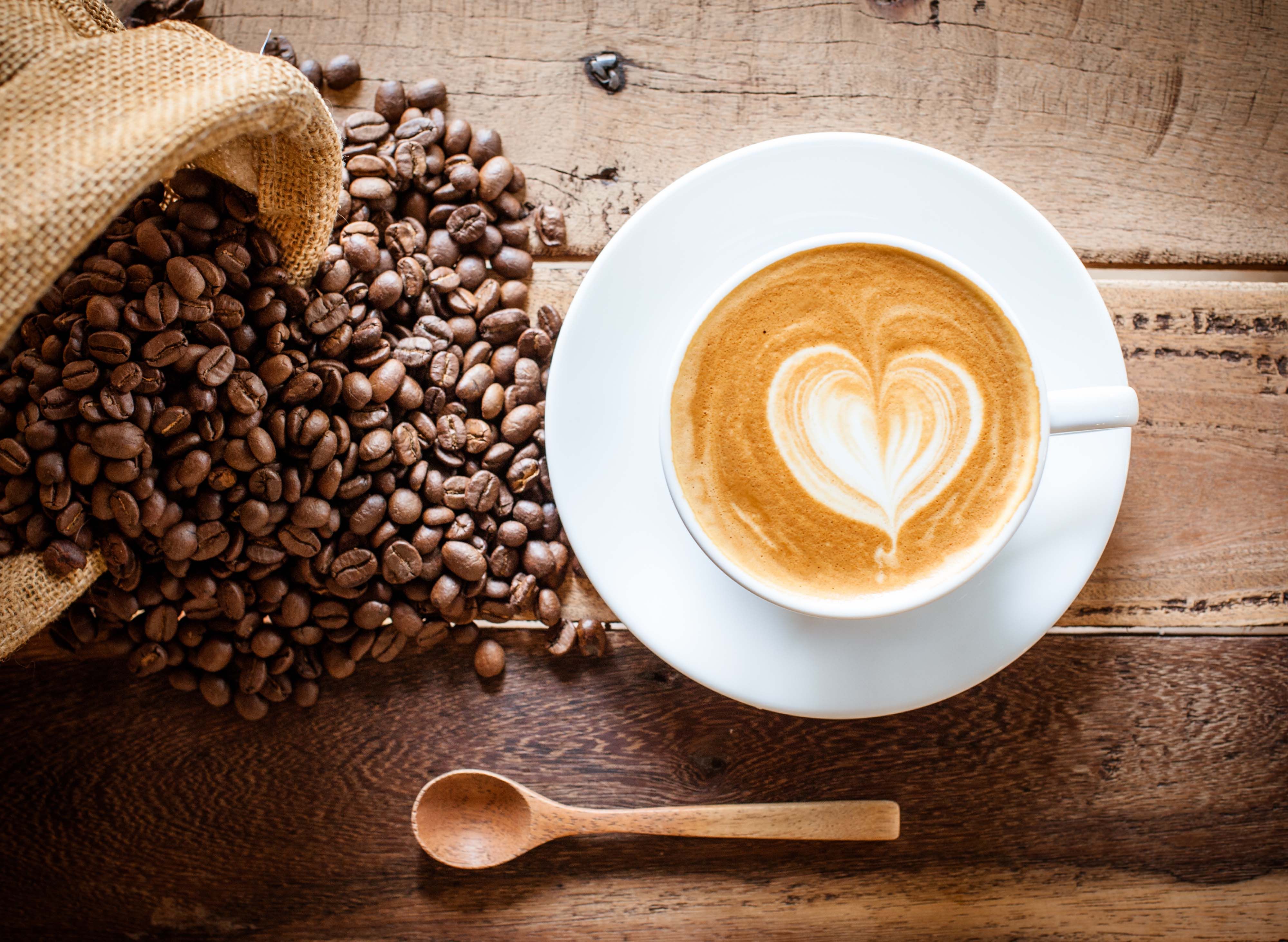 Tiny’s Cafe (Whampoa Road) - Home-Based Vendor vendor logo