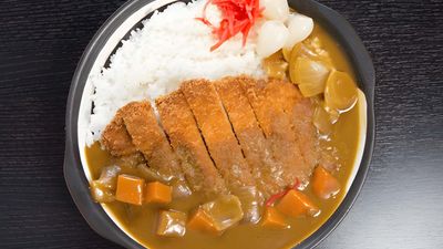 Donglaishun Curry Rice (Toa Payoh)