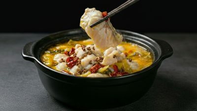 Fish Theory 鱼论 (Raffles Hospital)