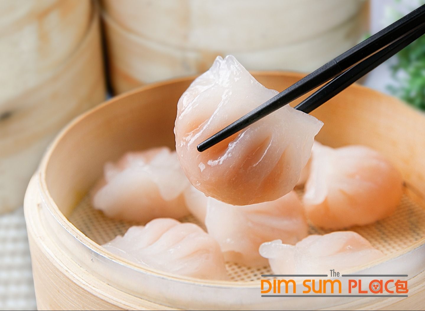 The Dim Sum Place (North Bridge Road) vendor logo