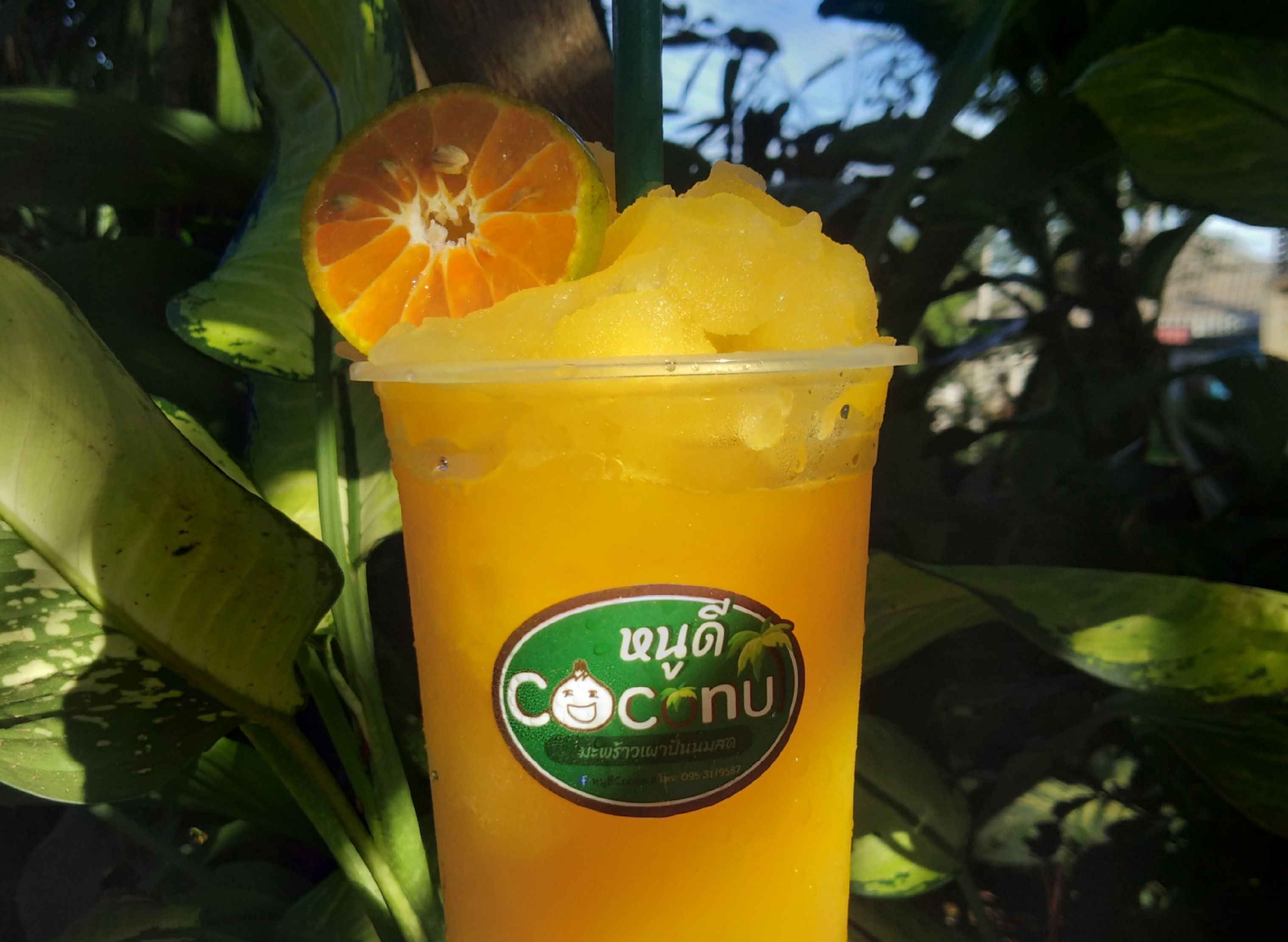 Noo Dee Coconut delivery near you in Nong Khai foodpanda