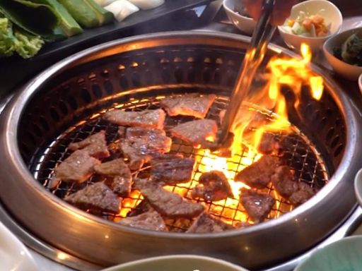 IKEDA Electric Hot Pot With BBQ Grill Review 