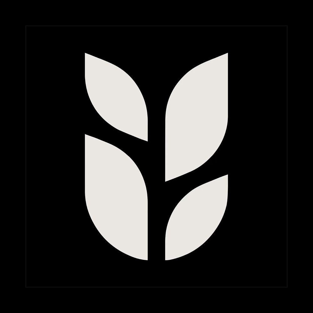 Grain Asok Delivery Near You In Bangkok Foodpanda grain-asok-delivery-near-you-in-bangkok-foodpanda