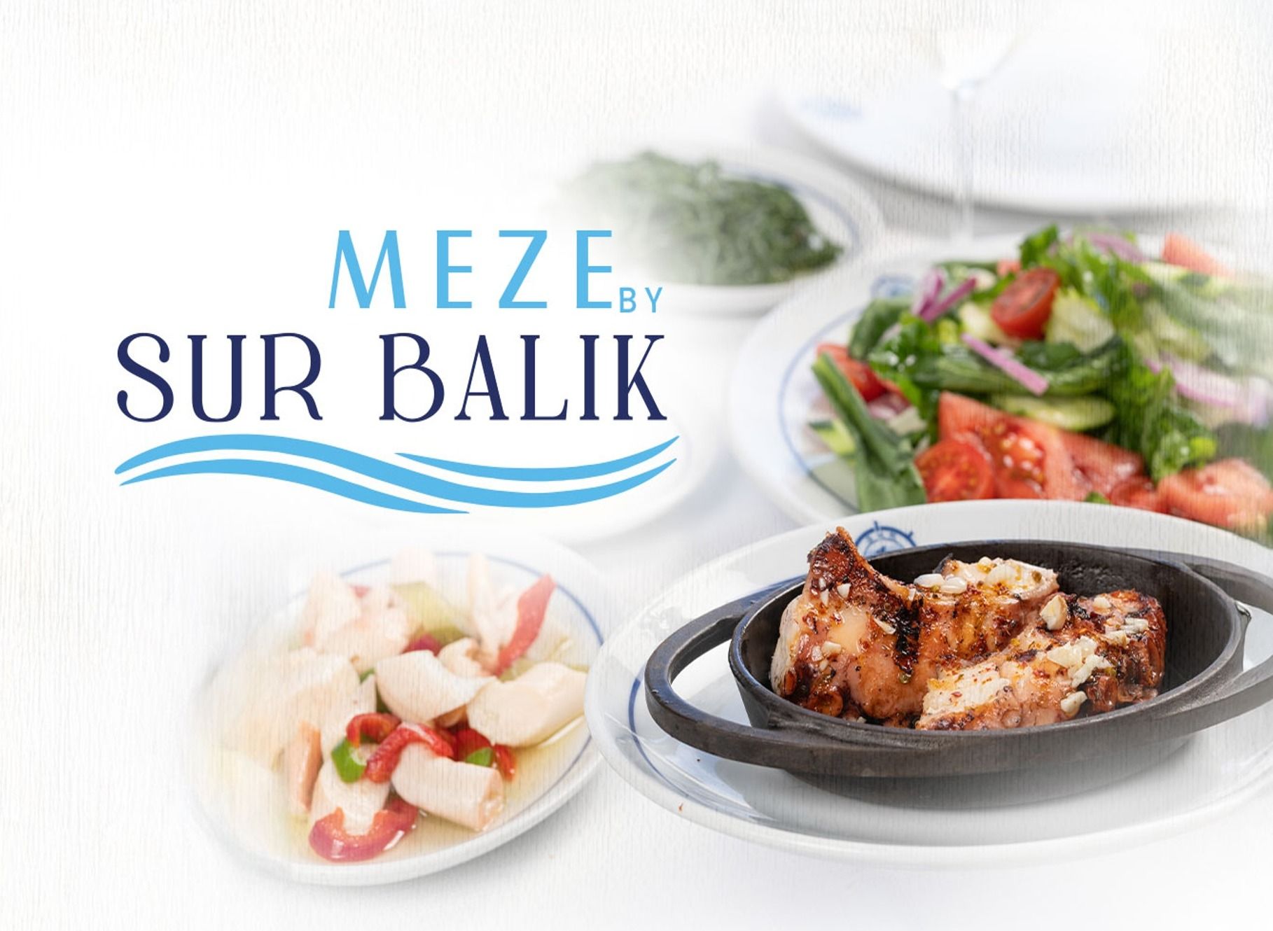 Sur Balık vendor logo