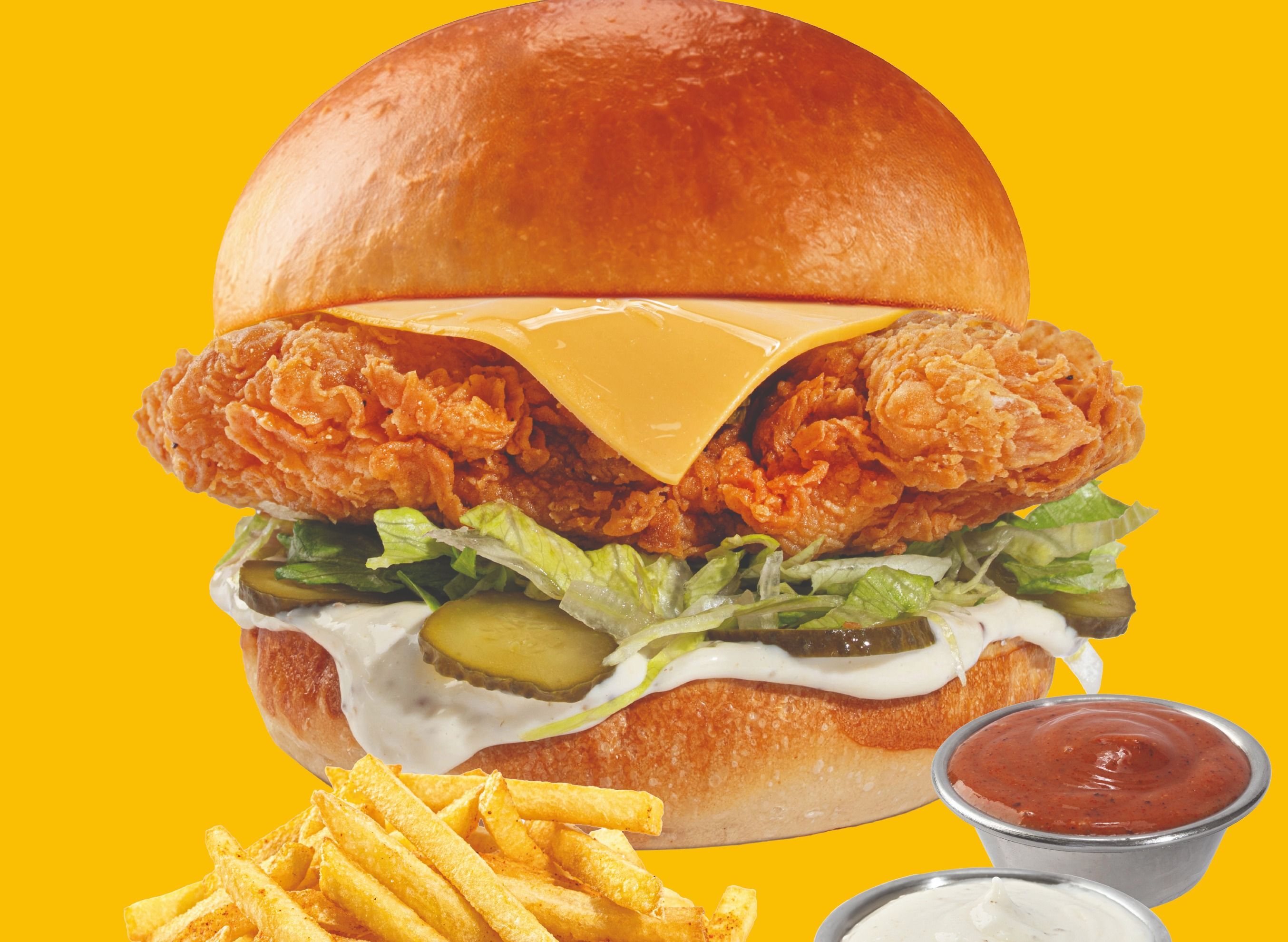 Magic Fry vendor logo
