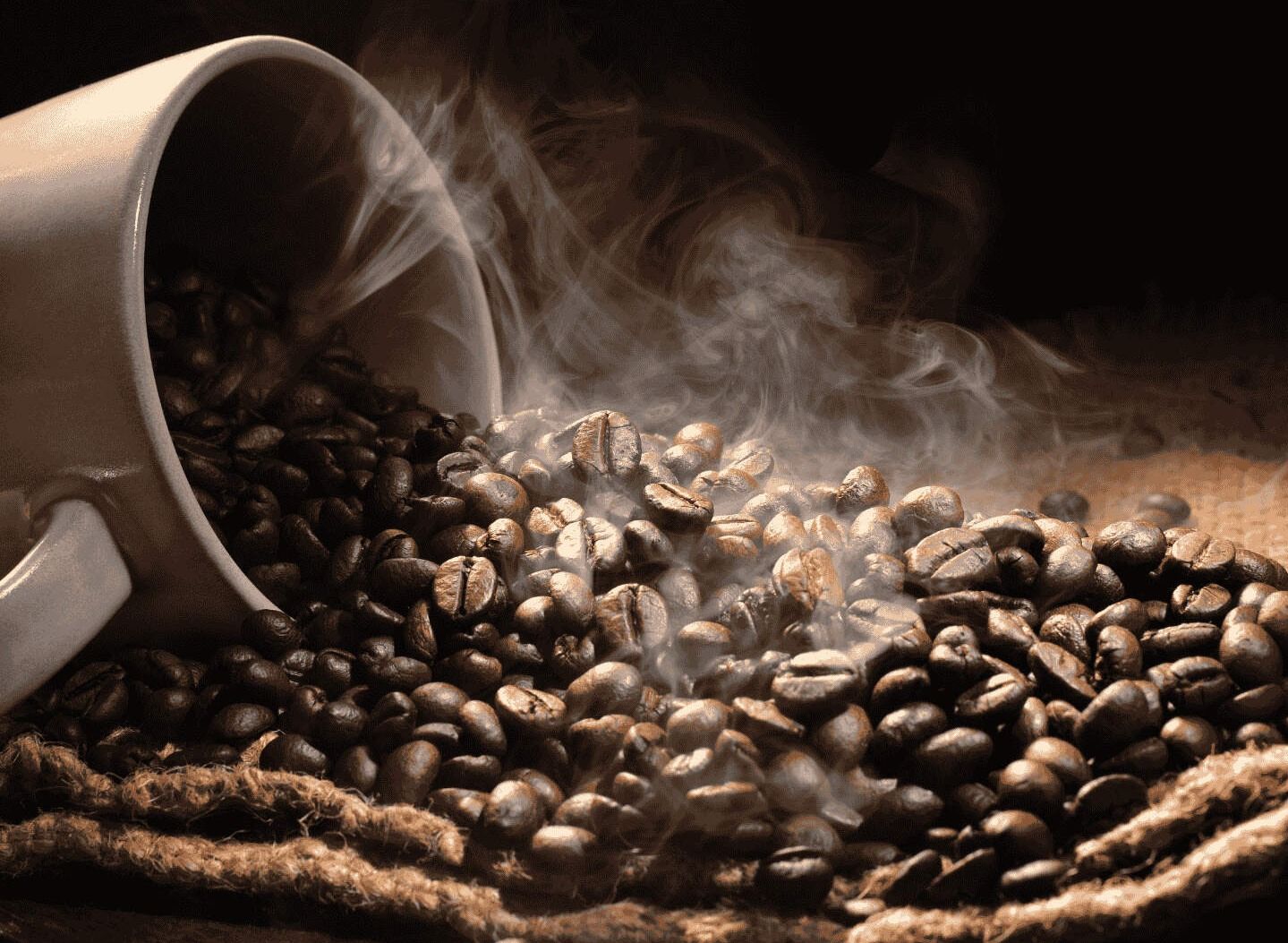 Cafestol Coffee vendor logo