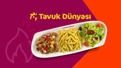 Tavuk Dünyası
