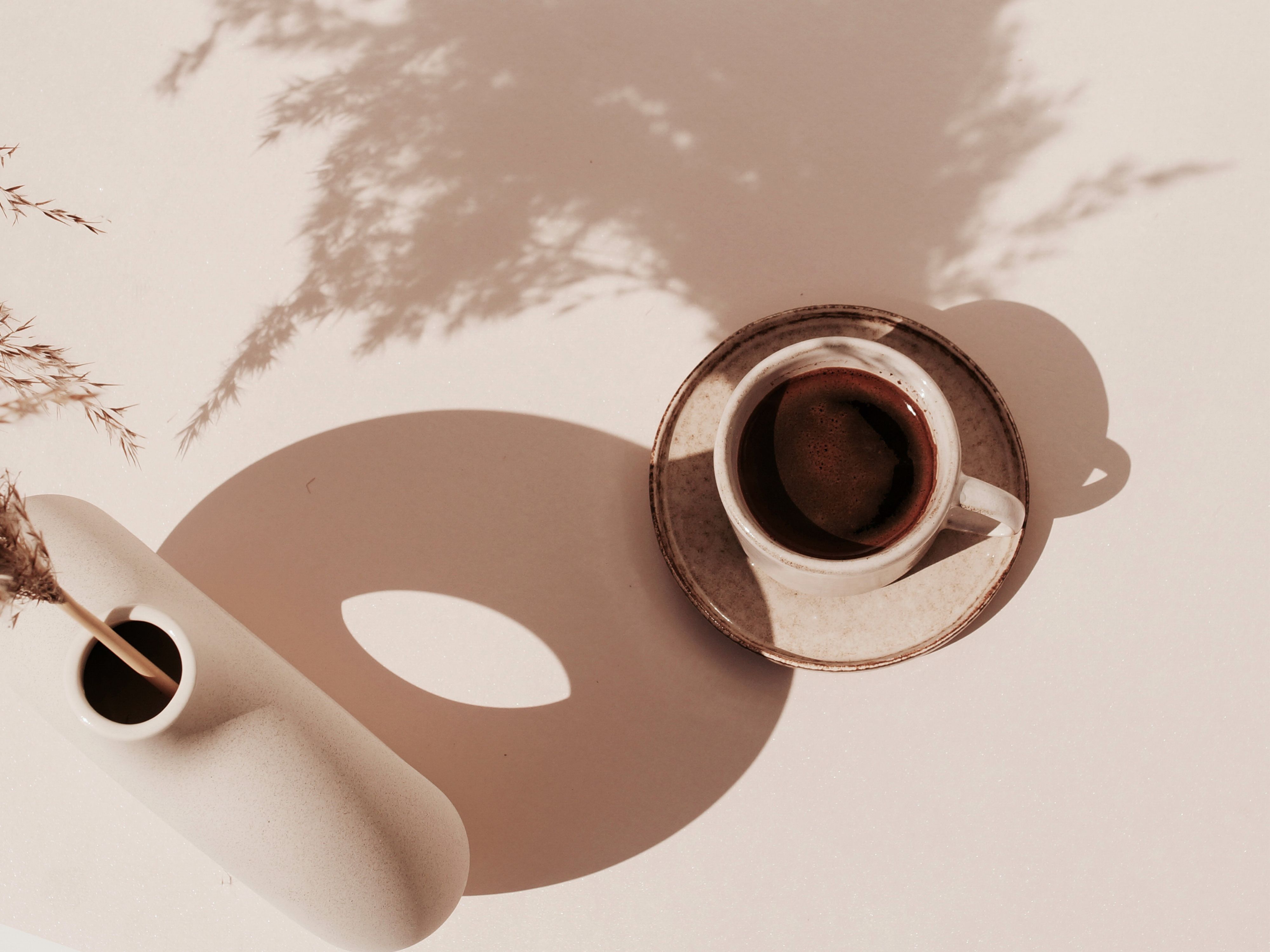 Nove Coffee vendor logo