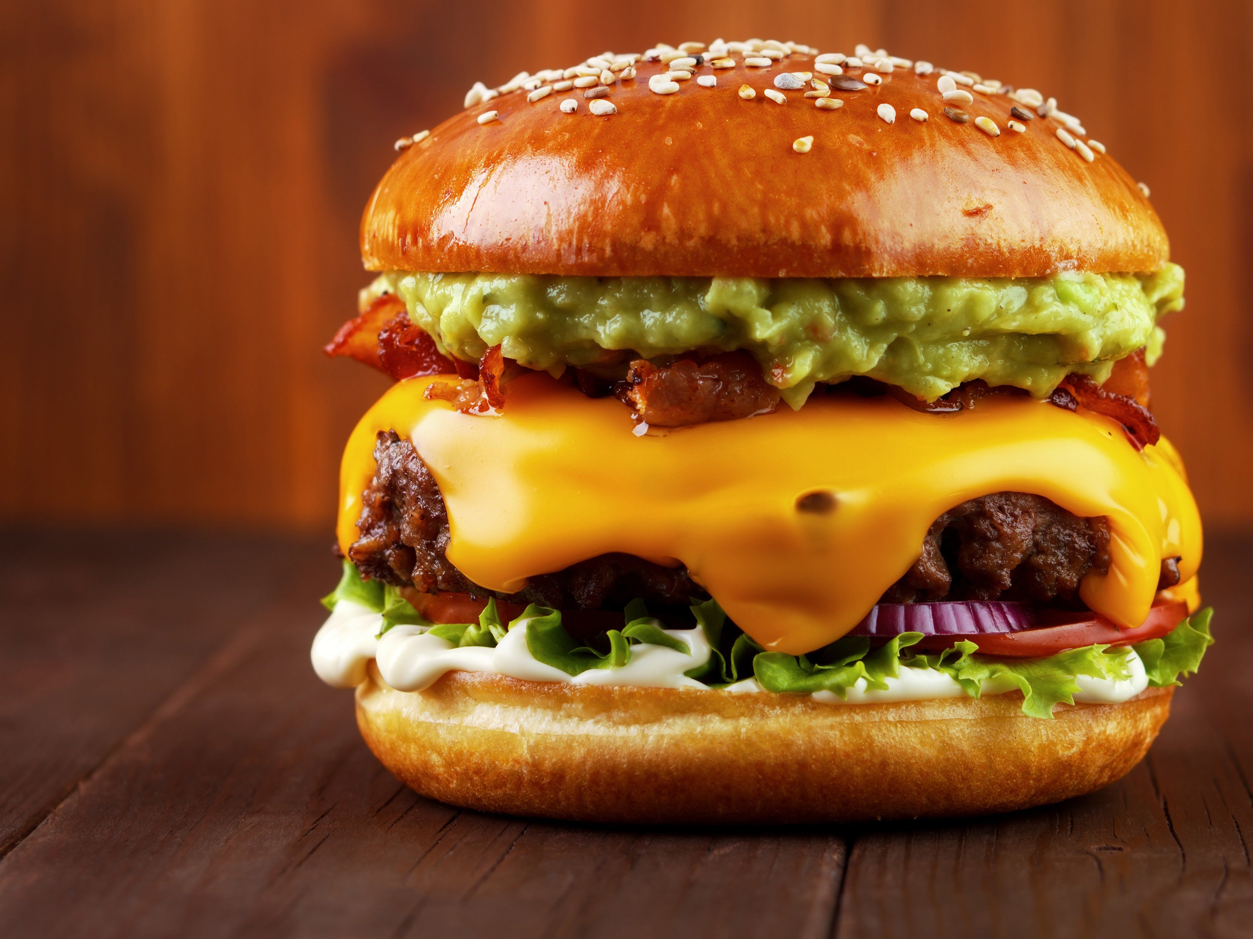 Can Burger vendor logo