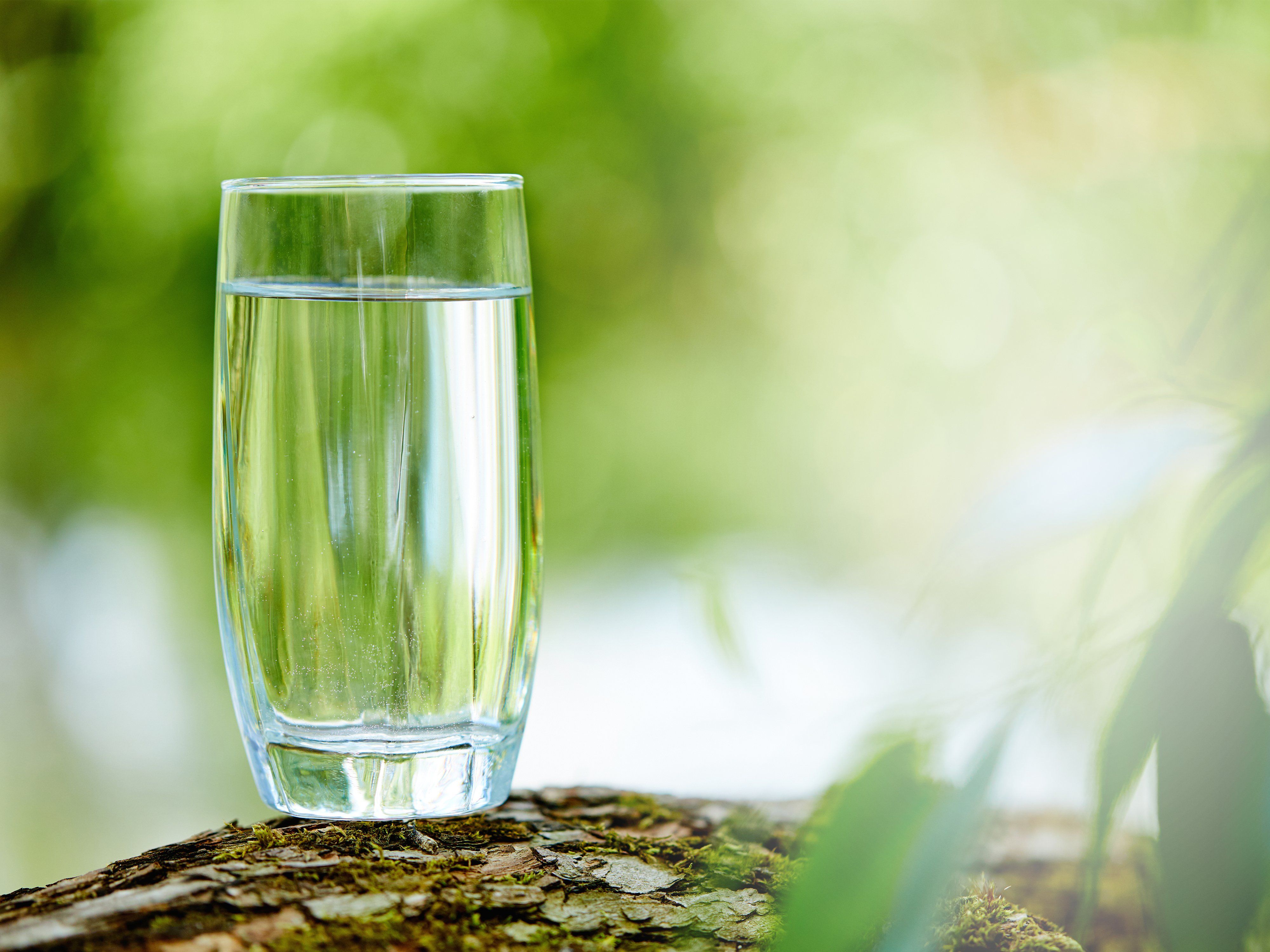 Glass of water. Стакан воды на природе. Стакан воды. Природа в стакане. Стакан чистой воды на природе.