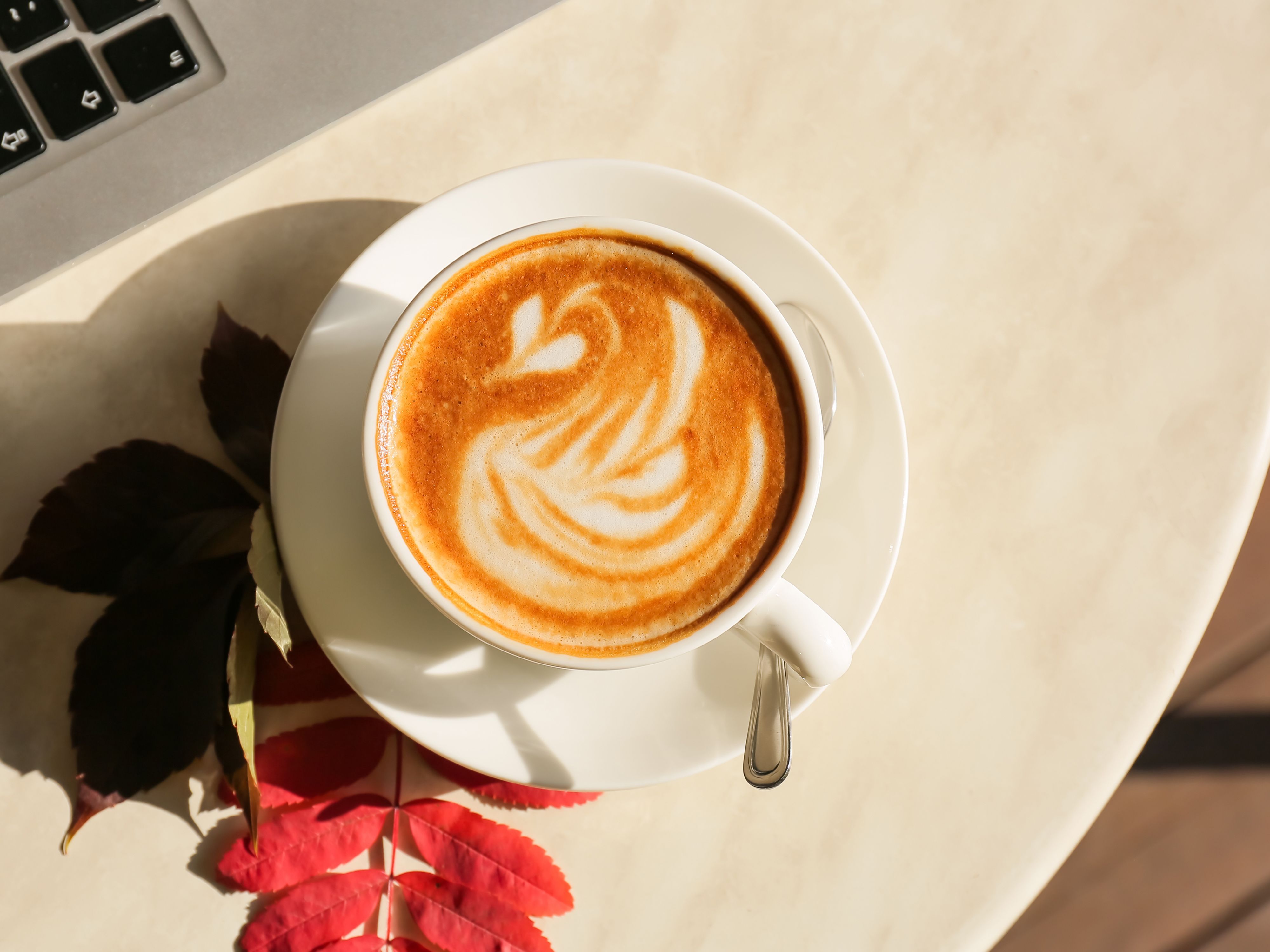 Chocopanna Coffee vendor logo