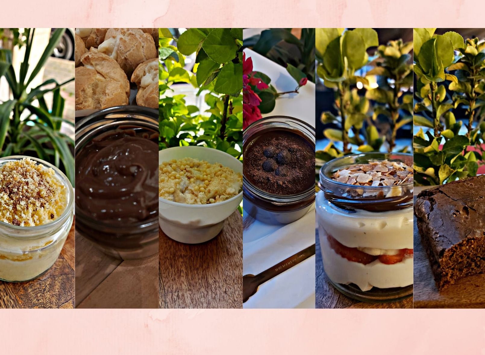 Dot Chocolate vendor logo